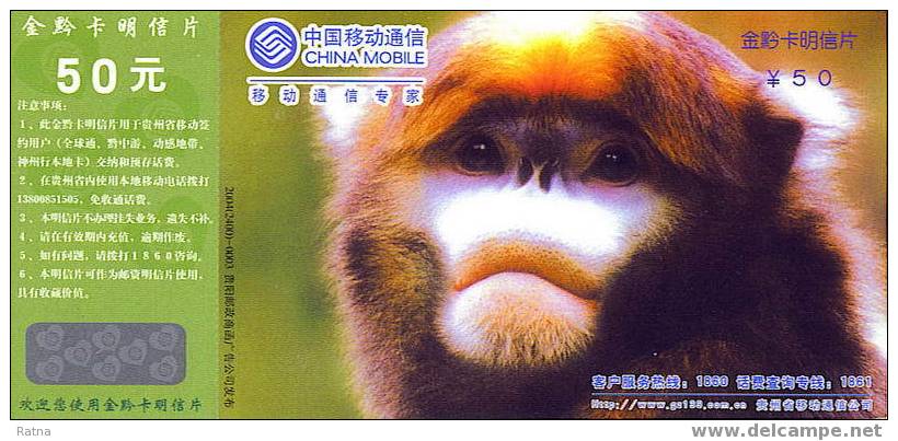 Chine : Entier Ticket Entrée. Singe à Nez Gris, Rhinopithecus Brelichi, Mammifere, Primate, Document Rare. - Singes