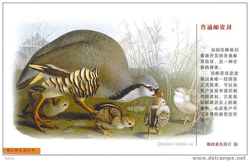 Chine : Entier. Oiseau, Poussin, Gallinacé, - Gallinacées & Faisans