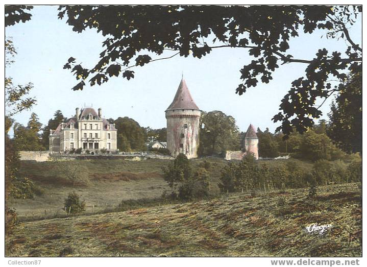 79 - DEUX SEVRES - MELLE - CHATEAU De MELZEAR - Editeur THEOJAC N° 174-3 - Melle