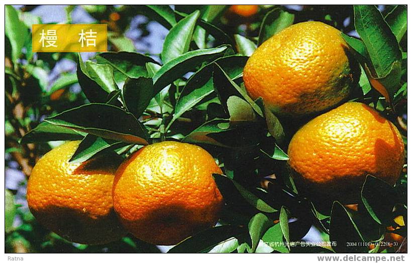 Chine : Entier Carte.mandarine Variete Manji, Fruit, Agrume, Selection - Obst & Früchte