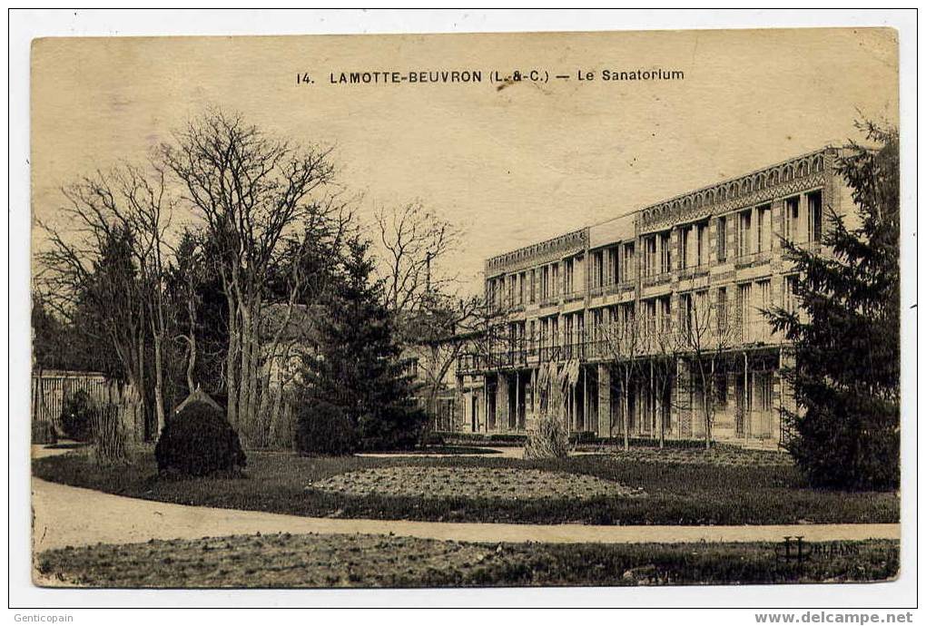 H126 - LAMOTTE-BEUVRON - Le Sanatorium - Lamotte Beuvron