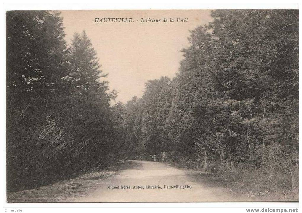 01 HAUTEVILLE Intérieur De La Forêt - Achat Immédiat - Hauteville-Lompnes