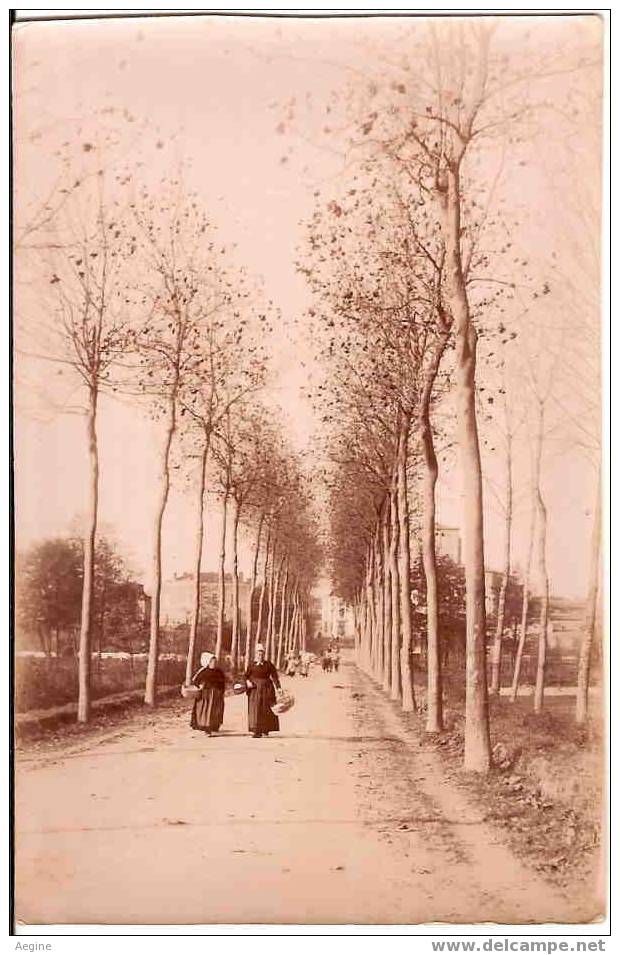 Ref 8570- Les Herbiers - Veritable Photo Debut 1900-ou Avant ?-entree De La Ville Petit Bourg- Bon Etat - Les Herbiers