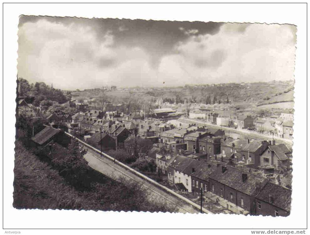 Thuin Panorama De La Ville Basse Vue Vers Lobbes (vierge) Gr-format Carte Photo - Thuin
