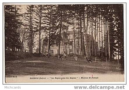 CPA 38 DIEMOZ - Le Repos Sous Les Sapins - Maison St Joseph - Diémoz