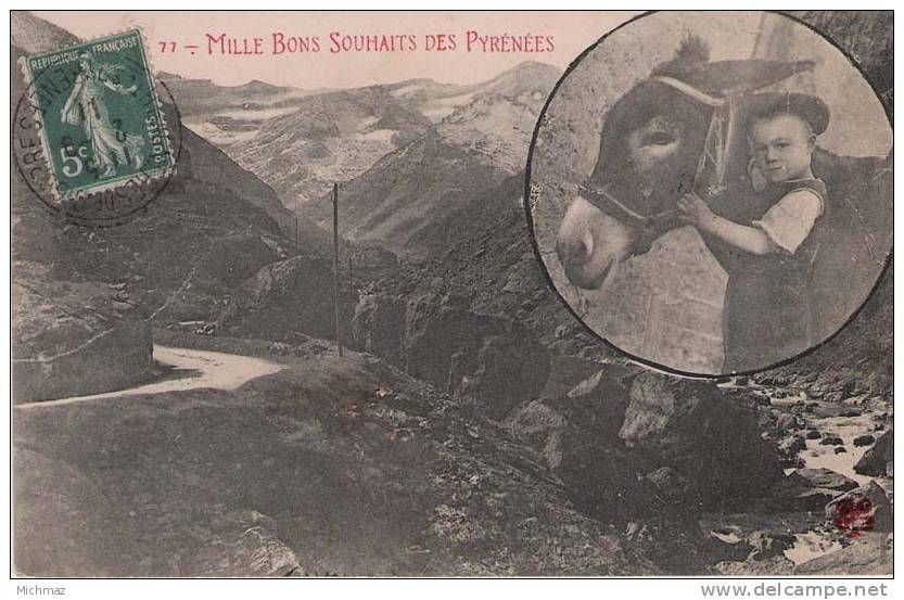 Anciennes CP  - Mille Bons Souhaits Des Pyrénées - Midi-Pyrénées