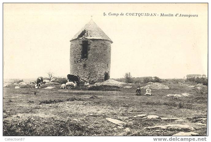 56 - MORBIHAN - COETQUIDAN - MOULIN à VENT D'AVAUGOURS - MUHLE - THE MILL - DE MOLEN - SUPERBE PLAN - Molinos De Viento