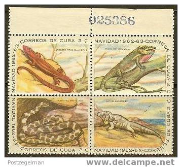 CUBA 1962 MNH Stamp(s) Reptiles Block  #6091 - Other & Unclassified