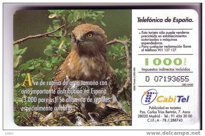 CIRCAETUS G. ( Spain Fauna Iberica )*** Eagle - Aigle - Adler - Aguila - Aquila * Birds Of Pray - Raptors Bird - Vulture - Emisiones Básicas