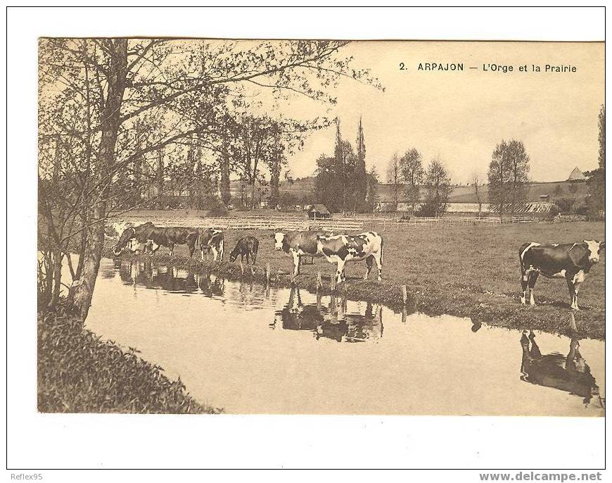 ARPAJON - L'Orge Et La Prairie - Arpajon