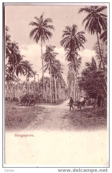 SINGAPORE - Singapore