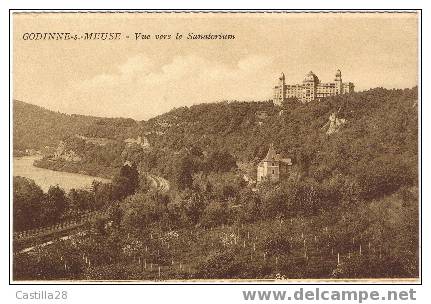 Cpa GODINNE SUR MEUSE Vue Vers Le Sanatorium - Yvoir