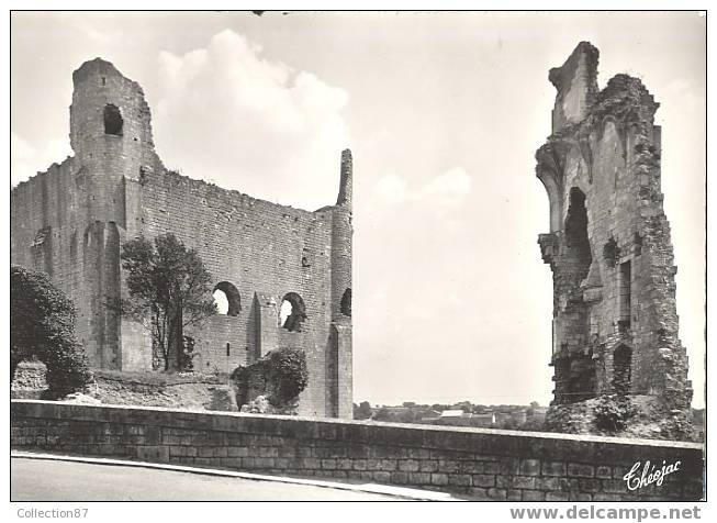 86- VIENNE - CHAUVIGNY - LE VIEUX CHATEAU - LES RUINES - BEAU PLAN - THEOJAC N° 70-2 - Chauvigny