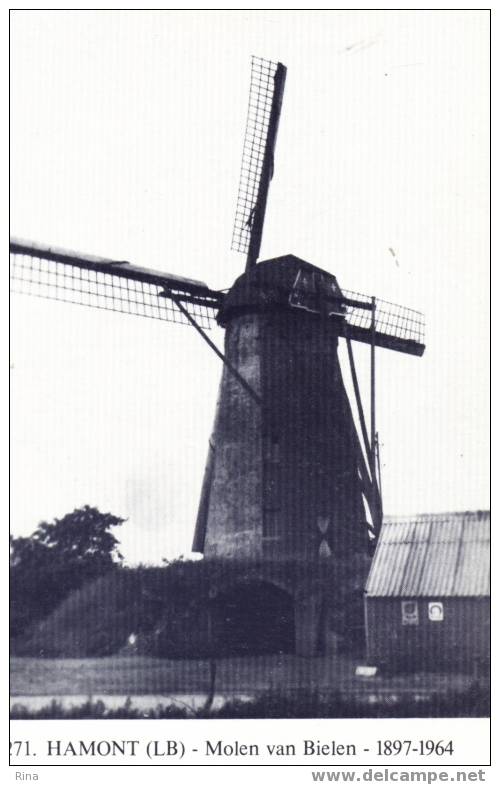 Molen-Hamont-molen Van Bielen No 271 - Hamont-Achel