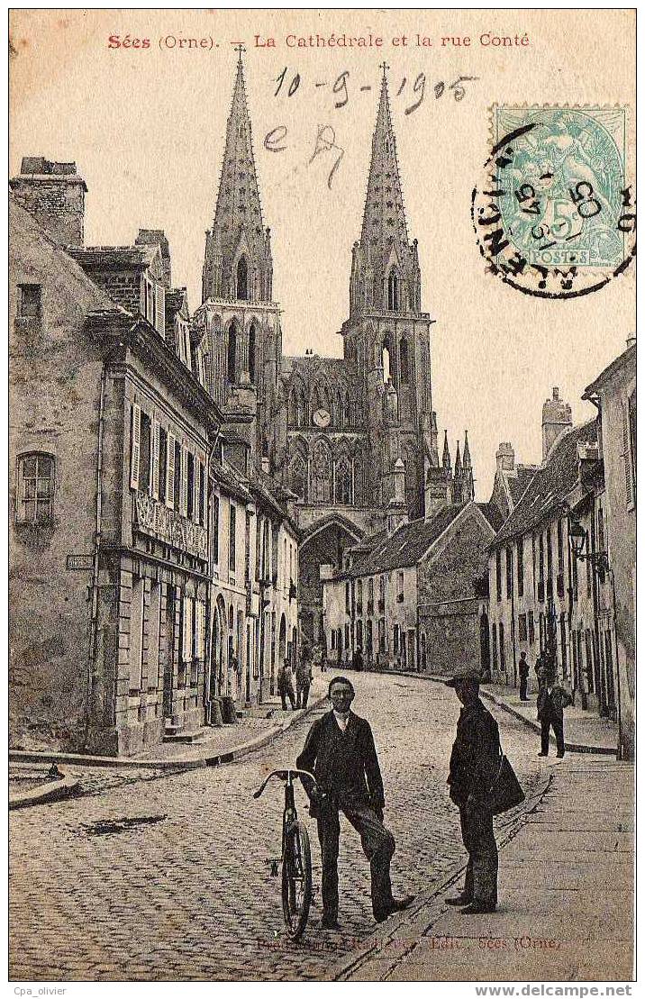 61 SEES Rue Conté, Cathédrale, Animée, Beau Plan, Ed Radiguey, 1905 - Sees