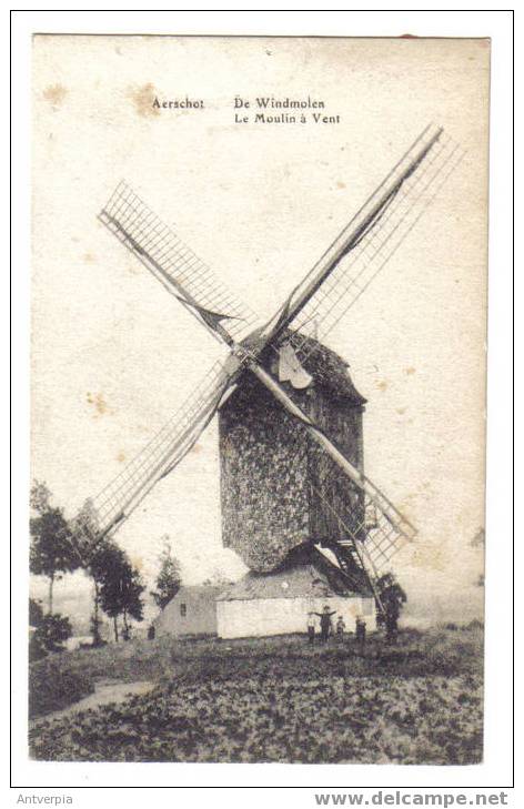 Aarschot De Windmolen Edit.S.D (zie Scan Voor En Achterzijde) - Aarschot