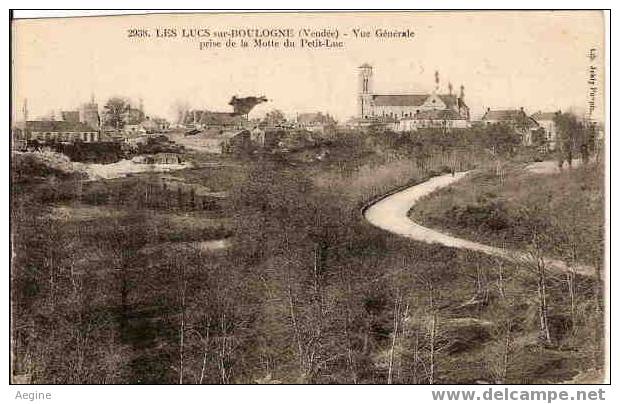 Ref No 8591- Les Lucs Sur Boulogne - Vue Generale Prise De La Motte Du Petit Luc - Les Lucs Sur Boulogne