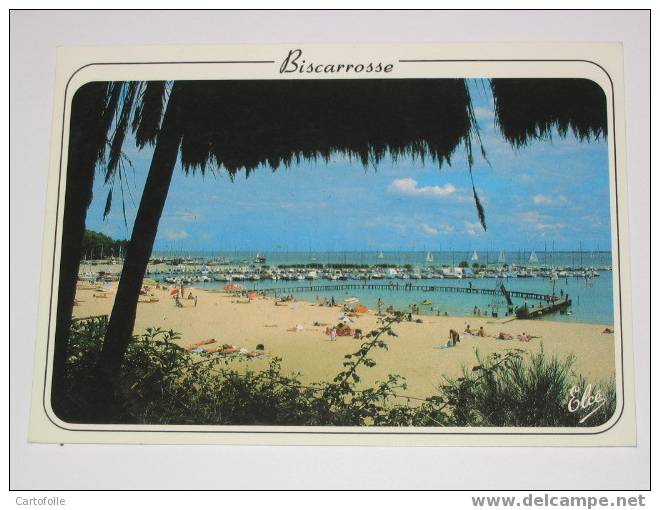 (321) -1- Carte Postale Sur Biscarosse 3 - Biscarrosse