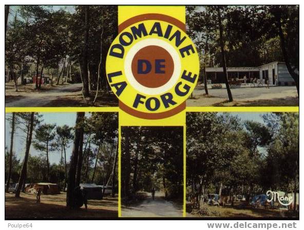 La Teste - Domaine De " La Force " - Camping-Caravaning - Vues Diverses - Autres & Non Classés