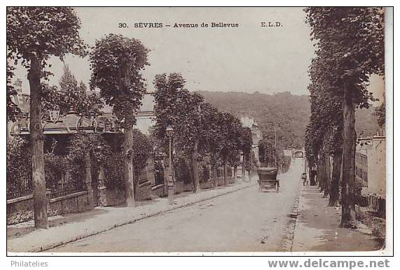 Sevres  Av De Bellevue - Sevres