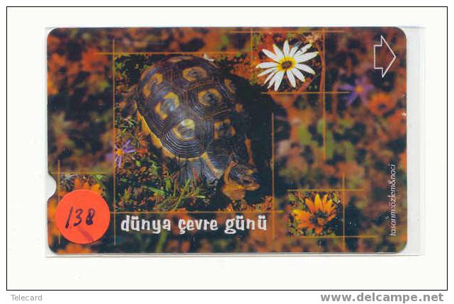 Turtle - Schildpad - Sea Turtle – Tortoise – Schildkroete – Tartaruga – Tortue (138) - Turtles