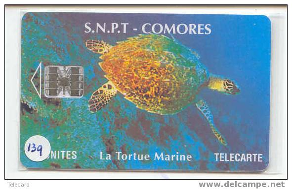 Turtle - Schildpad - Sea Turtle – Tortoise – Schildkroete – Tartaruga – Tortue (139) - Turtles