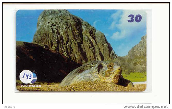 Turtle - Schildpad - Sea Turtle – Tortoise – Schildkroete – Tartaruga – Tortue (143) - Turtles