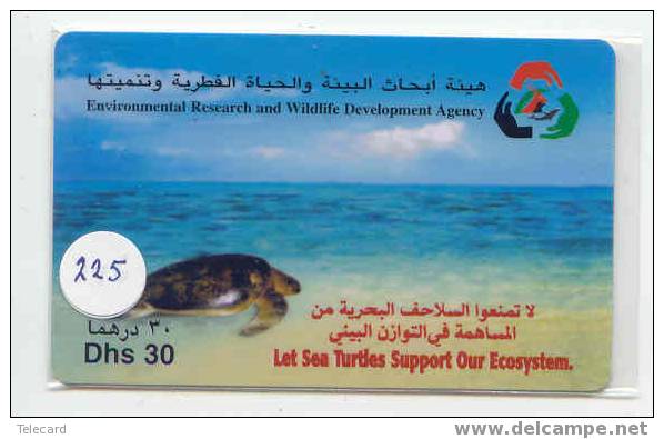 Turtle - Schildpad - Sea Turtle – Tortoise – Schildkroete – Tartaruga – Tortue (225) - Schildpadden