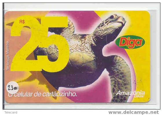 Turtle - Schildpad - Sea Turtle – Tortoise – Schildkroete – Tartaruga – Tortue (230) - Schildpadden