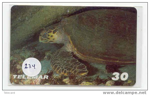 Turtle - Schildpad - Sea Turtle – Tortoise – Schildkroete – Tartaruga – Tortue (234) - Turtles