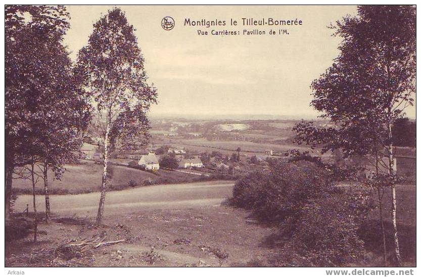 MONTIGNIES-LE-TILLEUL/BOMEREE = Vue Carrières = Pavillon De L'M  (Nels) Vierge - Montigny-le-Tilleul