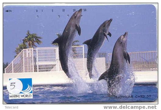 DOLFIJN Dolphin Op Telefoonkaart (5) - Dolfijnen
