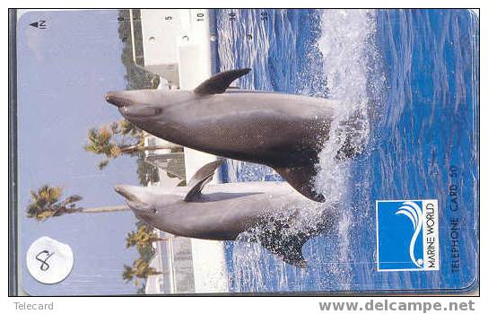 DOLFIJN Dolphin Op Telefoonkaart (8) - Dolfijnen