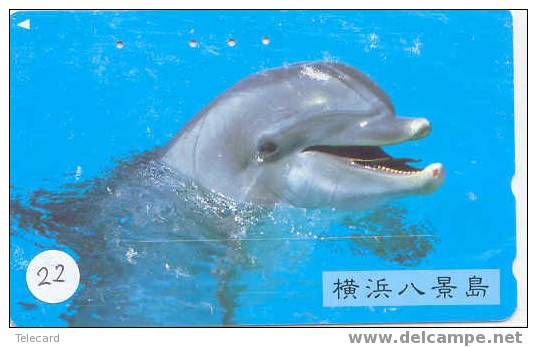 DOLFIJN Dolphin Op Telefoonkaart (22) - Delfini