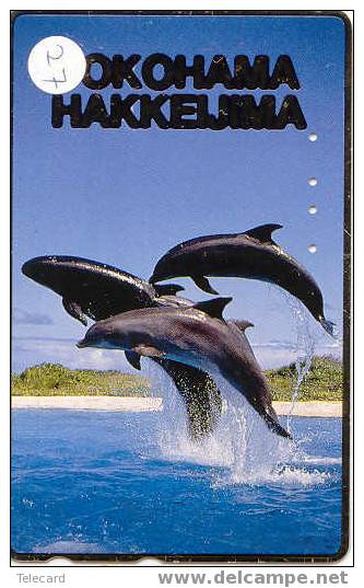 DOLFIJN Dolphin Op Telefoonkaart (27) - Dolfijnen