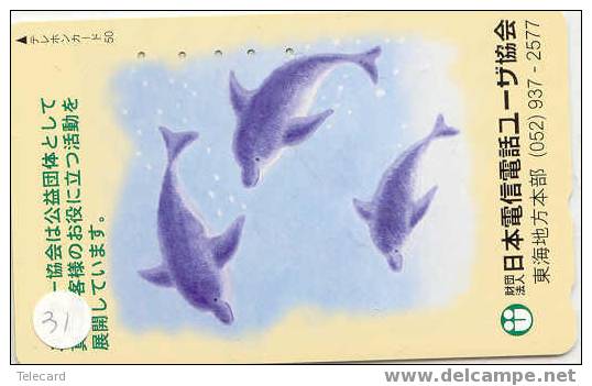 DOLFIJN Dolphin Op Telefoonkaart (31) - Dolphins
