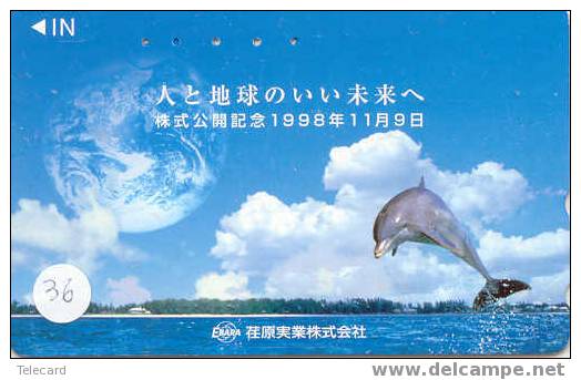 DOLFIJN Dolphin Op Telefoonkaart (36) - Delfines
