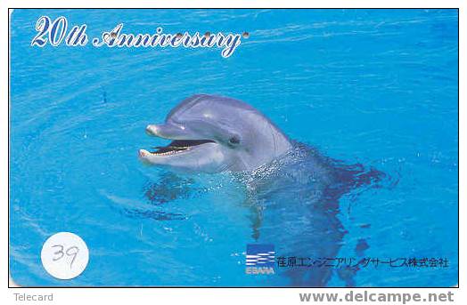 DOLFIJN Dolphin Op Telefoonkaart (39) - Delfini