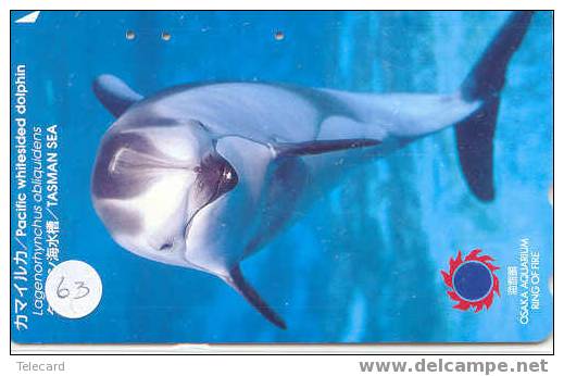 DOLFIJN Dolphin Op Telefoonkaart (63) - Delfines