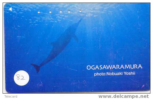 DOLFIJN Dolphin Op Telefoonkaart (82) - Delfini