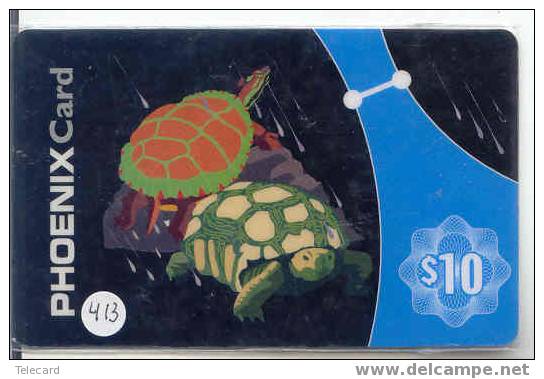 Sea Turtle – Tortoise – Tortuga Marina – Schildkroete – Tartaruga – Tortue – Turtle (413) - Turtles