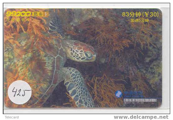 Sea Turtle – Tortoise – Tortuga Marina – Schildkroete – Tartaruga – Tortue – Turtle (425) - Schildpadden