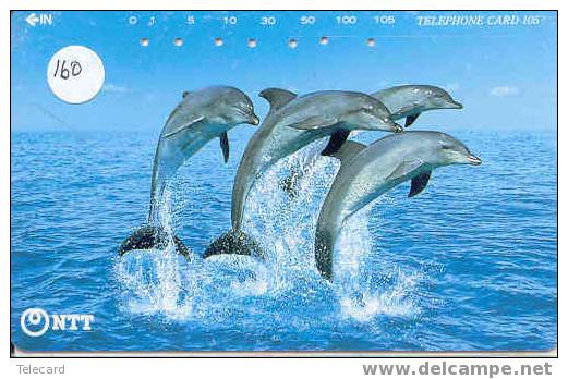 Telecarte DAUPHIN Dolphin DOLFIJN Delphin (160) - Peces