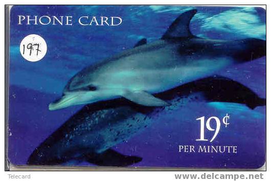 Telecarte DAUPHIN Dolphin DOLFIJN Delphin (197) - Peces