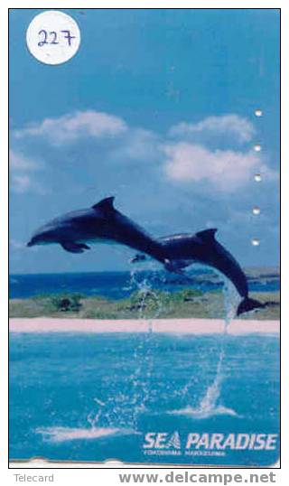 Telecarte DAUPHIN Dolphin DOLFIJN Delphin (227) - Peces