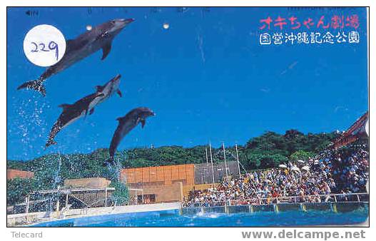 Telecarte DAUPHIN Dolphin DOLFIJN Delphin (229) - Peces