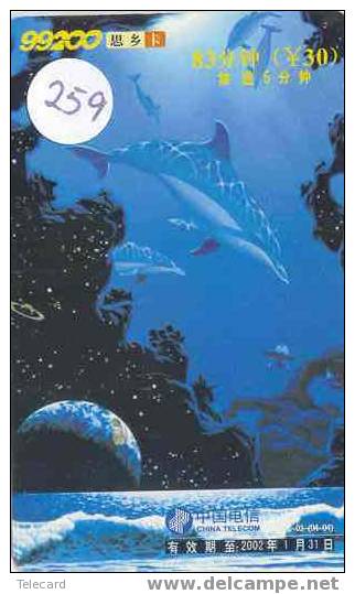 Telecarte DAUPHIN Dolphin DOLFIJN Delphin (259) - Peces