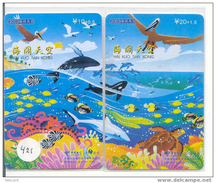 Sea Turtle – Tortoise – Tortuga Marina – Schildkroete – Tartaruga – Tortue – Turtle Puzzle Of 2 Cards (421) - Schildpadden