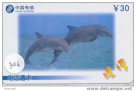 Telecarte DAUPHIN Dolphin DOLFIJN Delphin (306) - Delfini