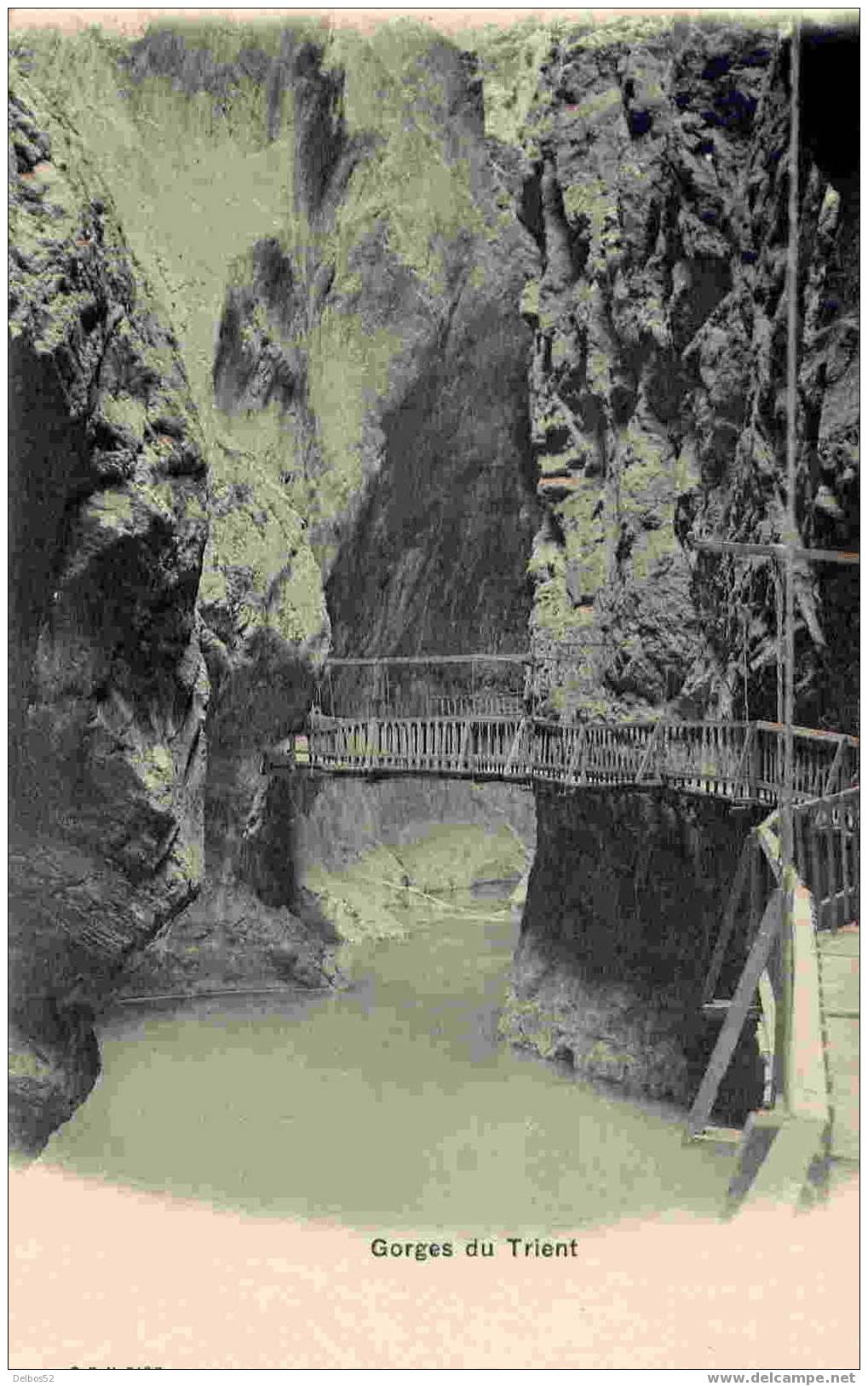 C.P.N. 2128 - Gorges Du Trient - Trient